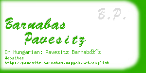 barnabas pavesitz business card